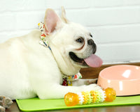 HKM-714131 Durable Dog Molar Tooth Cleaning Toys in Various Sizes and Colors for Large Breeds
