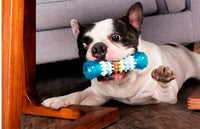 HKM-714131 Durable Dog Molar Tooth Cleaning Toys in Various Sizes and Colors for Large Breeds