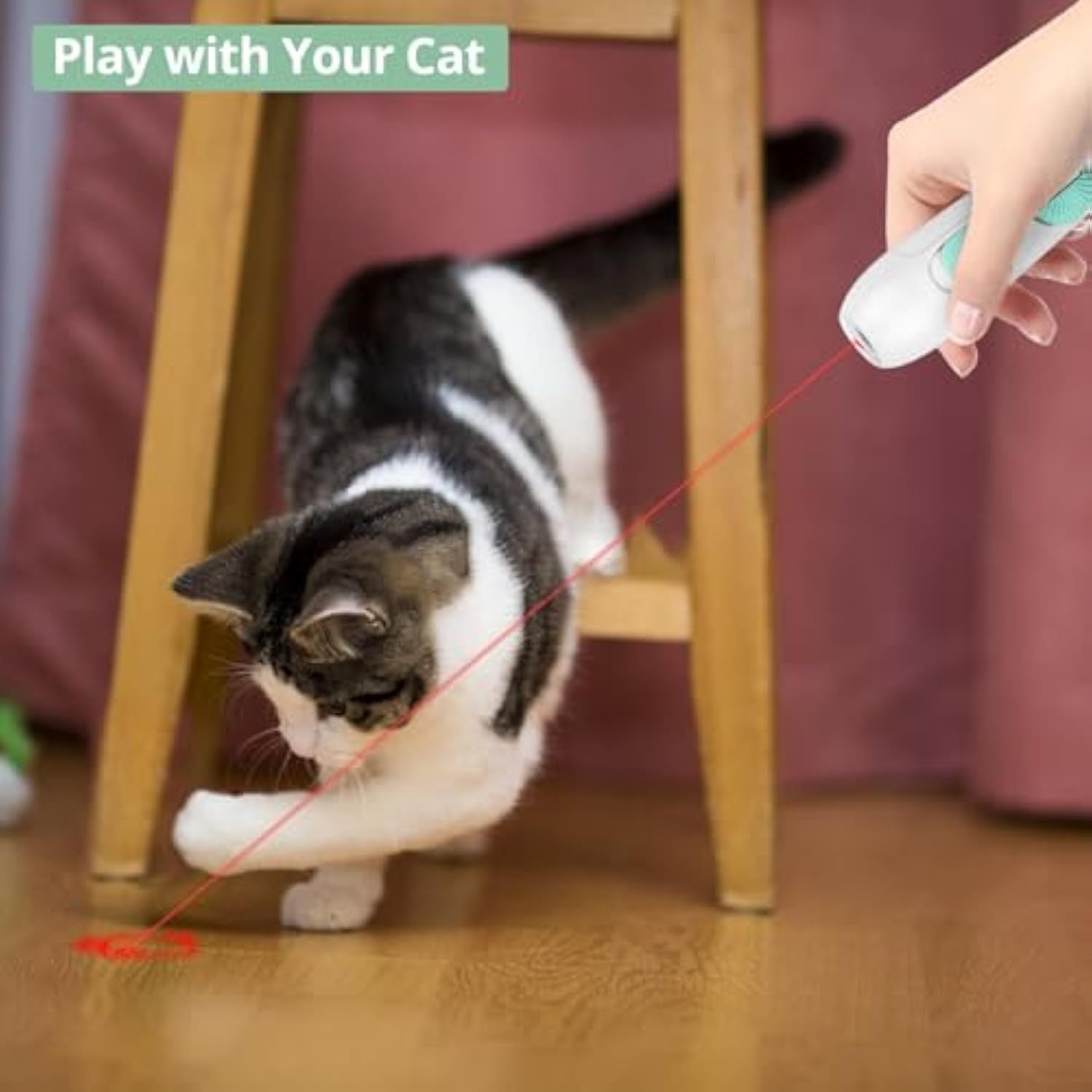 HKM-346771 Interactive Rechargeable Laser Pointer Cat Wand with Feather Toy - 2-in-1 Fun for Indoor Cats and Kittens