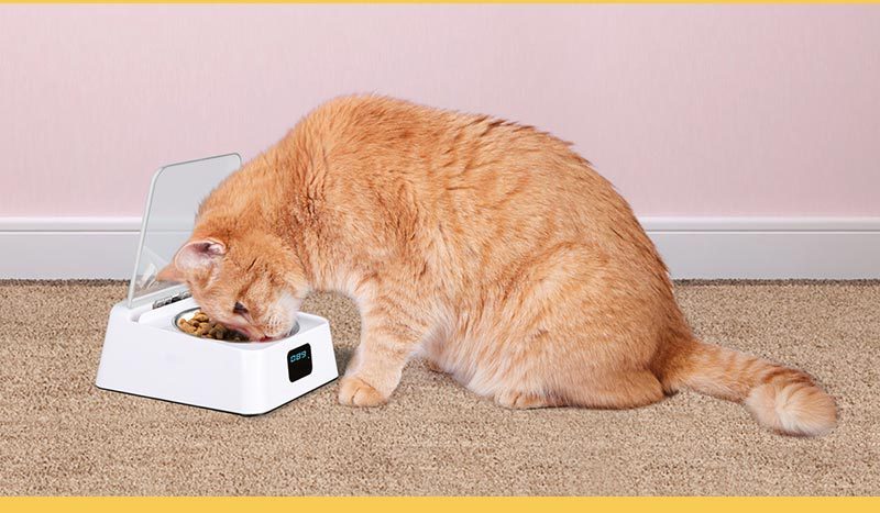 HKM-519635 Automatic Moisture-Proof Smart Feeder for Cats and Dogs – 350ml Capacity