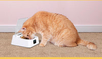 HKM-519635 Automatic Moisture-Proof Smart Feeder for Cats and Dogs – 350ml Capacity
