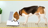 HKM-519635 Automatic Moisture-Proof Smart Feeder for Cats and Dogs – 350ml Capacity