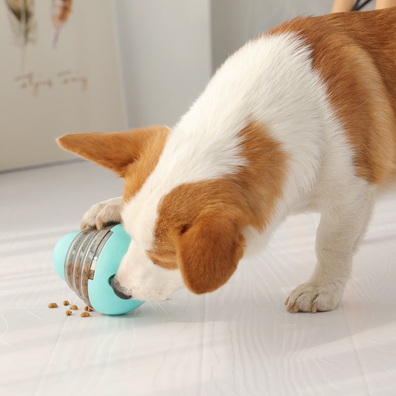 HKM-404563 Pet Swing Ball Tumbler Toy for Dogs and Cats - Interactive Training Item in Pink and Blue