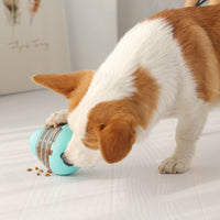 HKM-404563 Pet Swing Ball Tumbler Toy for Dogs and Cats - Interactive Training Item in Pink and Blue