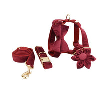 HKM-144403 Velvet Fabric Dog Collar with Accessories - Scalable Sizes XS-XL