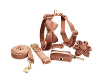HKM-144403 Velvet Fabric Dog Collar with Accessories - Scalable Sizes XS-XL