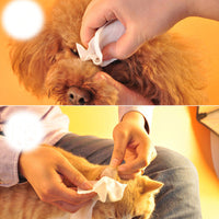 HKM-153491 Pet Claw Cleaning Wipes for Cats and Dogs - 100 Soft & Effective Wipes, 15x20cm