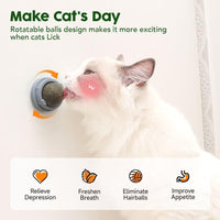 HKM-544851 Natural Catnip Balls for Teeth Cleaning and Dental Care - 4 Pack of Edible Silvervine Chew Toys for Cats