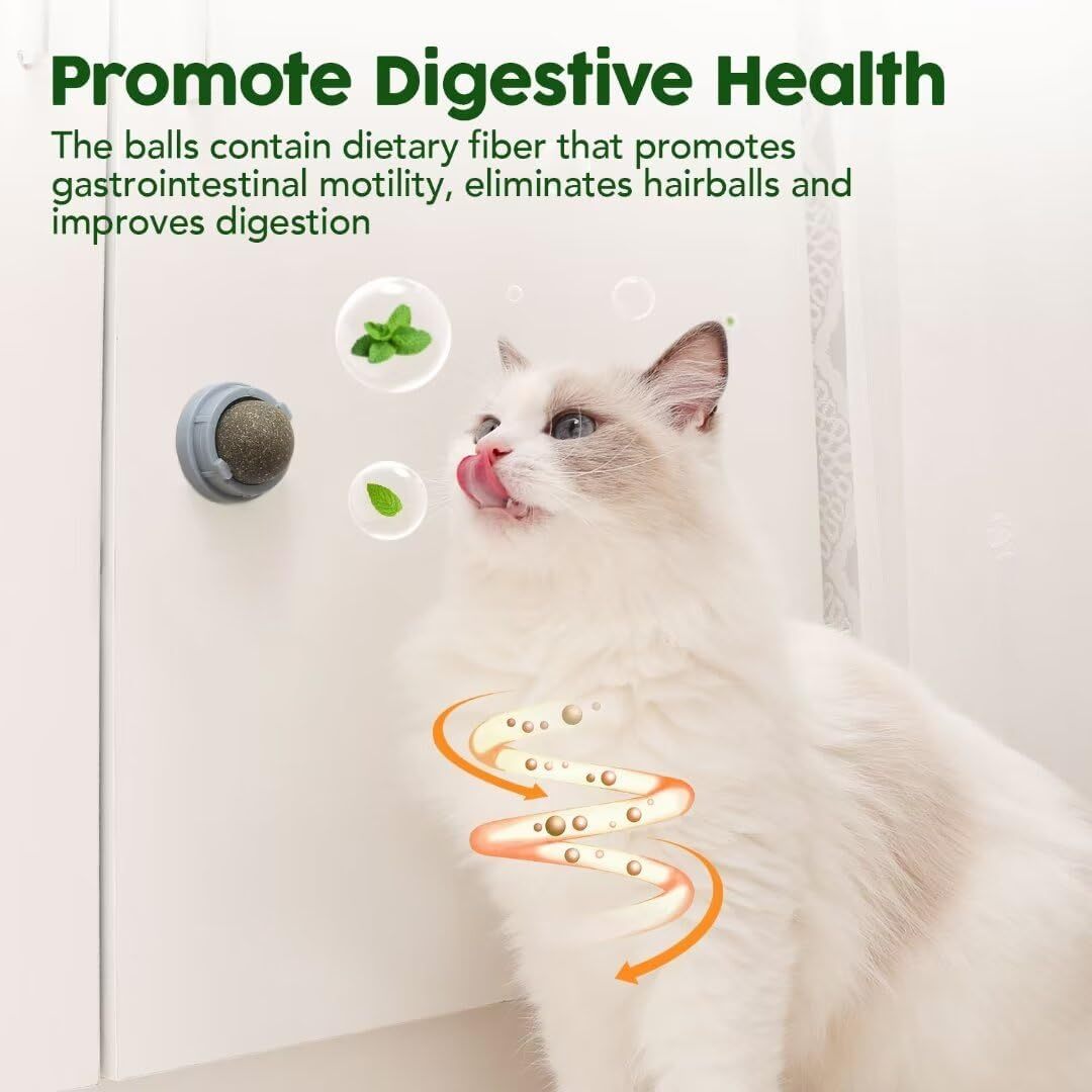 HKM-544851 Natural Catnip Balls for Teeth Cleaning and Dental Care - 4 Pack of Edible Silvervine Chew Toys for Cats