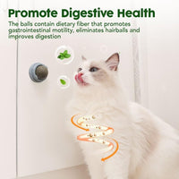 HKM-544851 Natural Catnip Balls for Teeth Cleaning and Dental Care - 4 Pack of Edible Silvervine Chew Toys for Cats