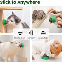 HKM-544851 Natural Catnip Balls for Teeth Cleaning and Dental Care - 4 Pack of Edible Silvervine Chew Toys for Cats