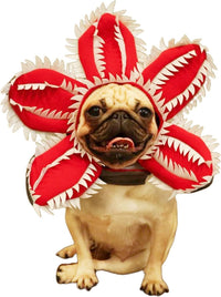 HKM-308115 Medium Dog Halloween Chomper Costume with Demon Hat and Scary Headband Headwear