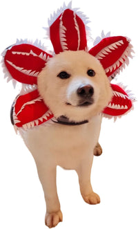 HKM-308115 Medium Dog Halloween Chomper Costume with Demon Hat and Scary Headband Headwear