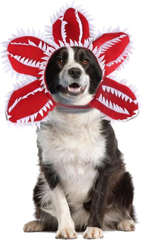 HKM-308115 Medium Dog Halloween Chomper Costume with Demon Hat and Scary Headband Headwear