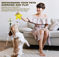 HKM-689427 Natural Toothbrush for Small and Medium Dogs - Starfish Design for Effective Teeth Cleaning