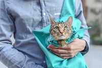 HKM-905619 Portable Cat Carrier Bag Made of Durable Nylon Cloth with Handheld Design