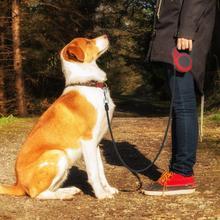 HKM-948627 Automatic Telescopic Pet Traction Leash with One-Handed Brake System