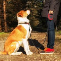 HKM-948627 Automatic Telescopic Pet Traction Leash with One-Handed Brake System