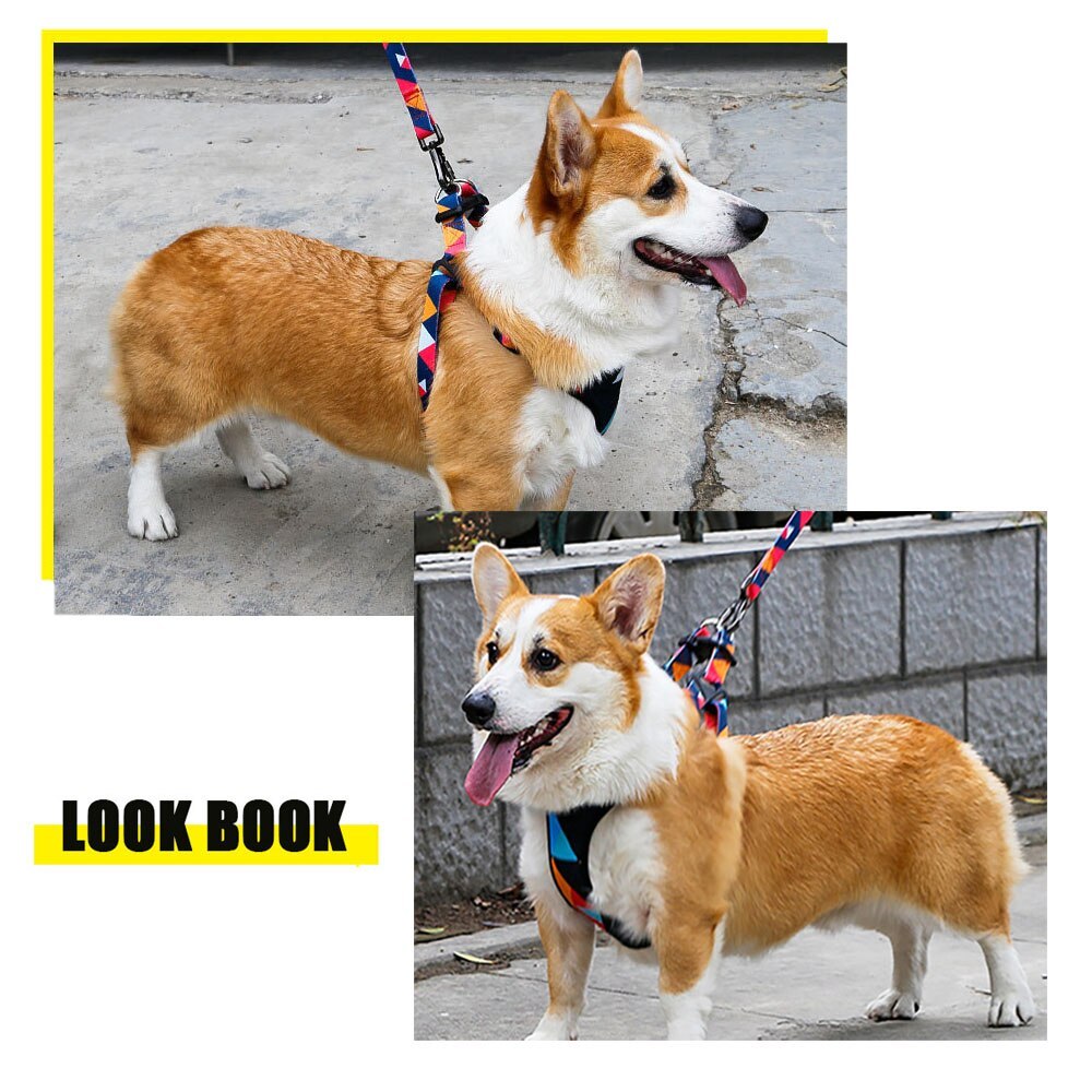 HKM-502547 Adjustable Nylon Chest Harness for Medium and Large Dogs with Padded Comfort and Sturdy Metal Clasp