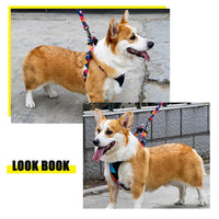 HKM-502547 Adjustable Nylon Chest Harness for Medium and Large Dogs with Padded Comfort and Sturdy Metal Clasp