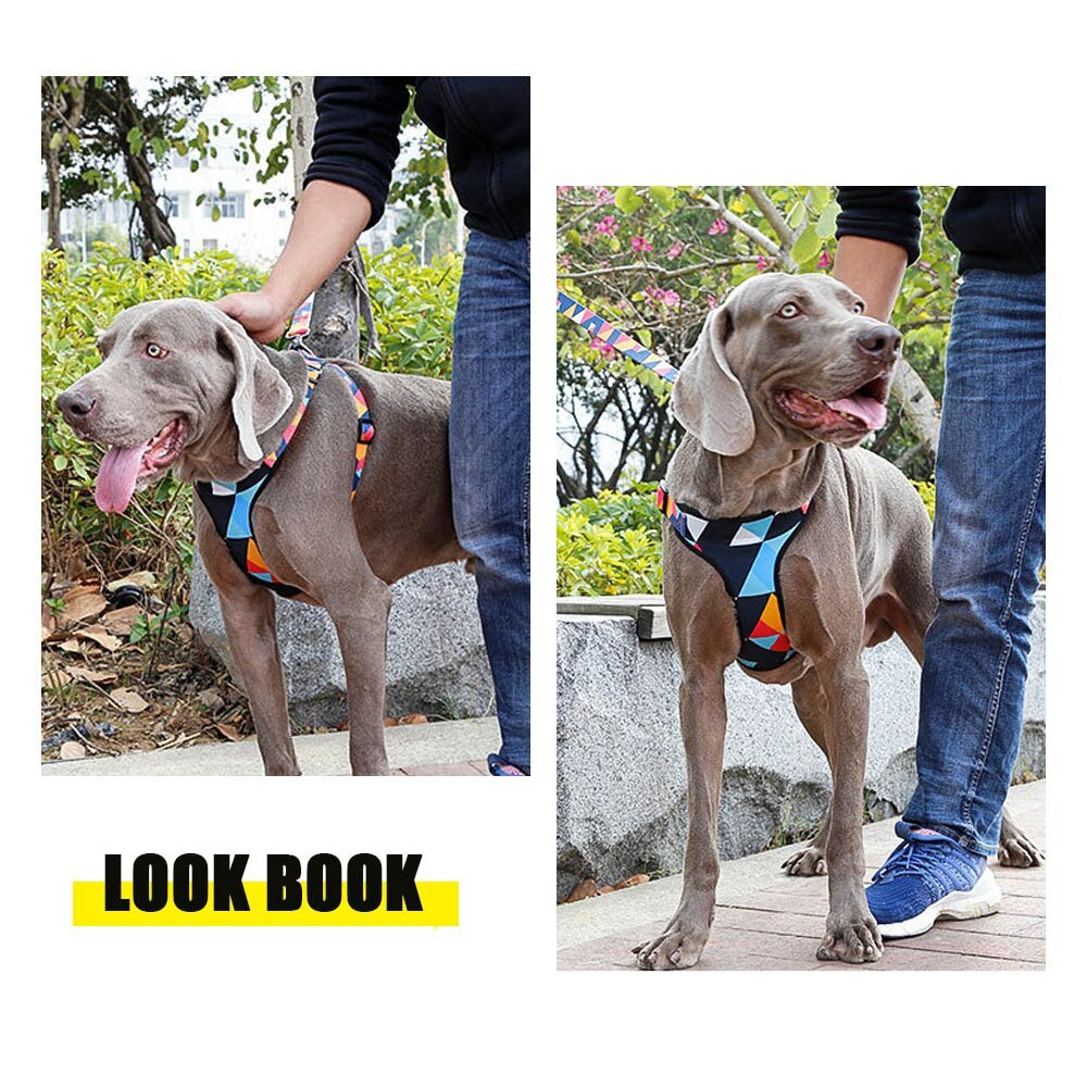 HKM-502547 Adjustable Nylon Chest Harness for Medium and Large Dogs with Padded Comfort and Sturdy Metal Clasp