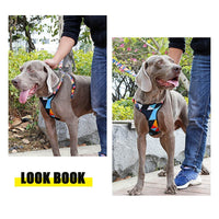 HKM-502547 Adjustable Nylon Chest Harness for Medium and Large Dogs with Padded Comfort and Sturdy Metal Clasp