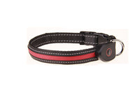 HKM-660307 Luminous USB Rechargeable Dog Collar - Adjustable Nylon Pet Accessory in Sizes S, M, L