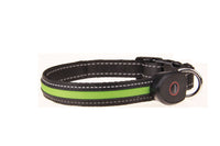 HKM-660307 Luminous USB Rechargeable Dog Collar - Adjustable Nylon Pet Accessory in Sizes S, M, L