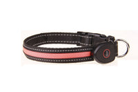 HKM-660307 Luminous USB Rechargeable Dog Collar - Adjustable Nylon Pet Accessory in Sizes S, M, L