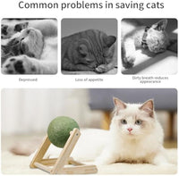 HKM-345619 Giant Catnip Ball with Wooden Holder - Safe and Healthy Cat Toy for Indoor Cats