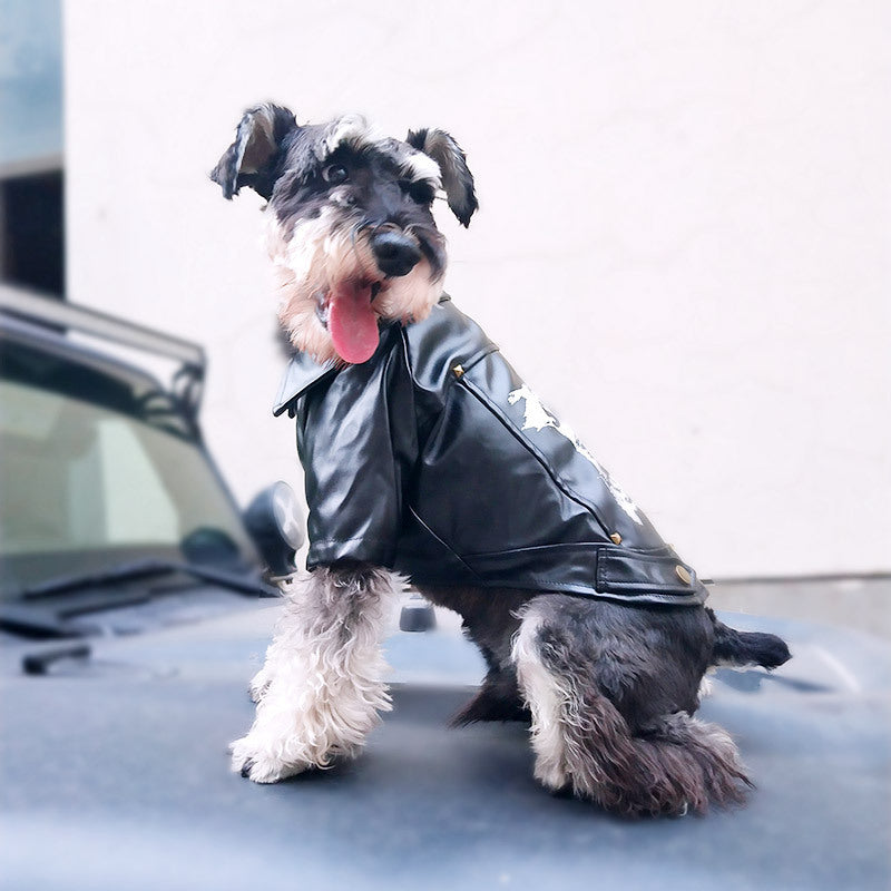 HKM-915219 Pet Winter and Fall Apparel for Dogs and Cats