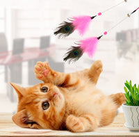 HKM-638547 Peacock Feather Cat Teaser Wand - Bite-Resistant Long Rod for Interactive Play