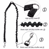 HKM-328339 Double-Ended Nylon Dog Leash with Collar ¨C 100cm Length, 2.5cm Width, Black