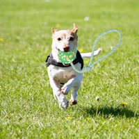 HKM-800083 Interactive Dog Ball with Rope - Natural Rubber Fetch and Tug Toy for Small and Medium Dogs