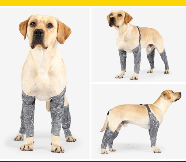 JMT-626506 Outdoor Dog Pants for All-Weather Protection for Active Pets