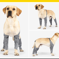 HKM-655827 Outdoor Dog Pants for All-Weather Protection for Active Pets