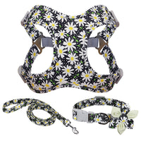 HKM-551123 Colorful Polyester Dog Walking Rope and Chain with Adjustable Collar - Sizes S, M, L