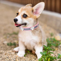 HKM-447699 Reflective Adjustable PU Leather Dog Collar with Paw Rivet for Small to Large Dogs and Cats