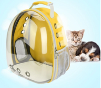 HKM-268371 Transparent Cat Carrier Bag with Ventilated Design