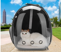 HKM-268371 Transparent Cat Carrier Bag with Ventilated Design