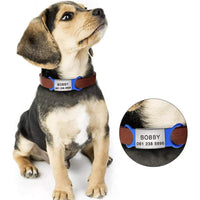 HKM-343315 Silicone Dog Collar with Custom Lettering Tag
