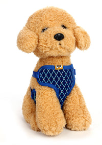 HKM-194131 Breathable Mesh Dog Leash with Flash Diamond Nylon for Comfortable Walks