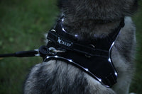 HKM-469779 LED Dog Harness with Oxford Cloth for Night Travel, Adjustable Chest Strap for Medium and Large Dogs