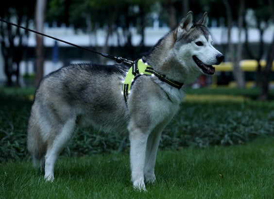 HKM-469779 LED Dog Harness with Oxford Cloth for Night Travel, Adjustable Chest Strap for Medium and Large Dogs