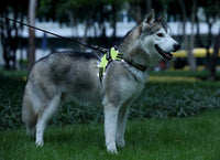 HKM-469779 LED Dog Harness with Oxford Cloth for Night Travel, Adjustable Chest Strap for Medium and Large Dogs