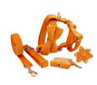 HKM-729619 Soft Velvet Dog Collar with Matching Accessories - Adjustable Sizes XS to XL