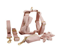 HKM-729619 Soft Velvet Dog Collar with Matching Accessories - Adjustable Sizes XS to XL