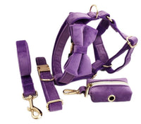 HKM-729619 Soft Velvet Dog Collar with Matching Accessories - Adjustable Sizes XS to XL