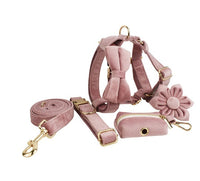HKM-729619 Soft Velvet Dog Collar with Matching Accessories - Adjustable Sizes XS to XL