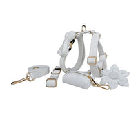 HKM-729619 Soft Velvet Dog Collar with Matching Accessories - Adjustable Sizes XS to XL